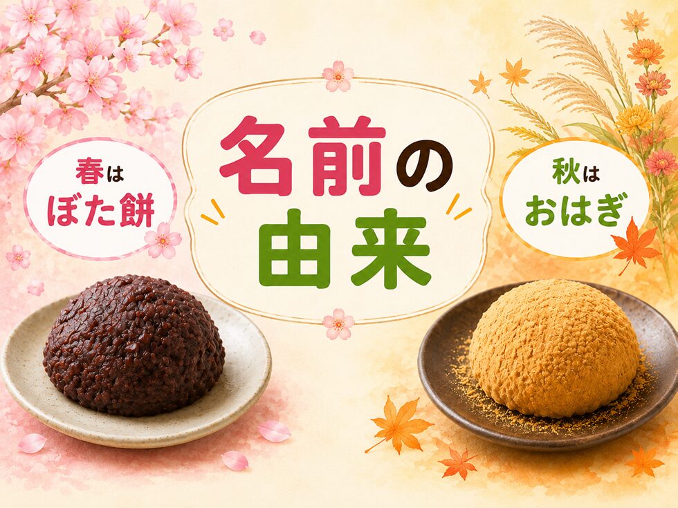 名前の由来