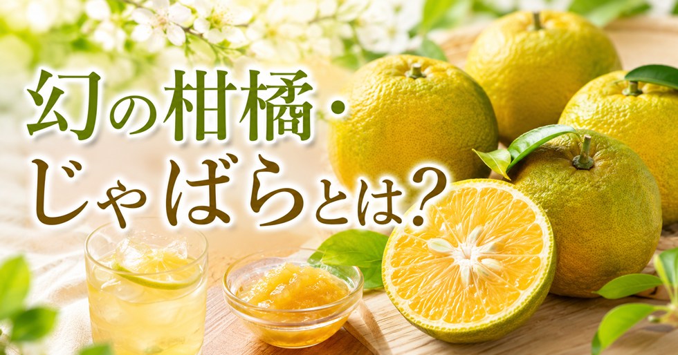 幻の柑橘・じゃばらとは？花粉症対策や美味しい活用法を徹底解説！