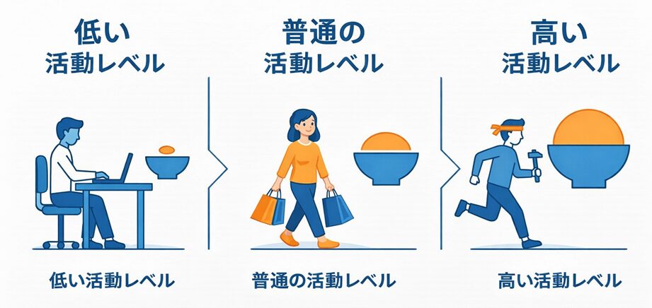 ご飯の量と活動レベルの比較