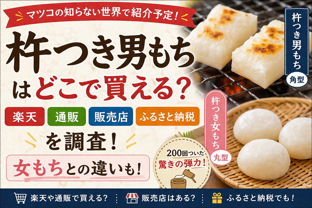 杵つき男もちはどこで買える？楽天や通販・販売店を調査！女もちとの違いも