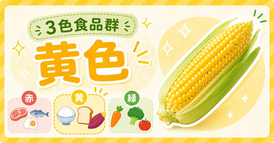 3色食品群でとうもろこしは何色?