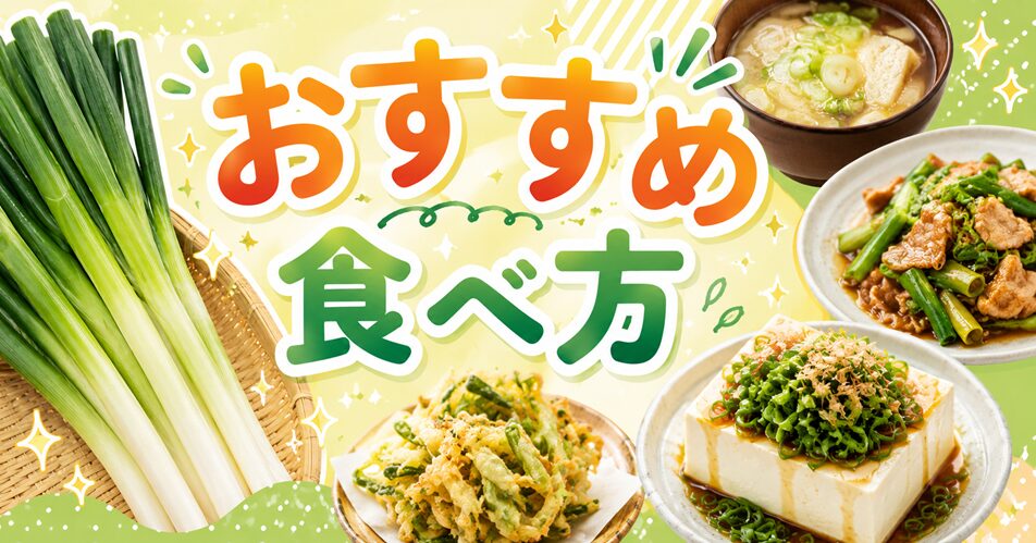 長ネギの青い部分のおすすめの食べ方