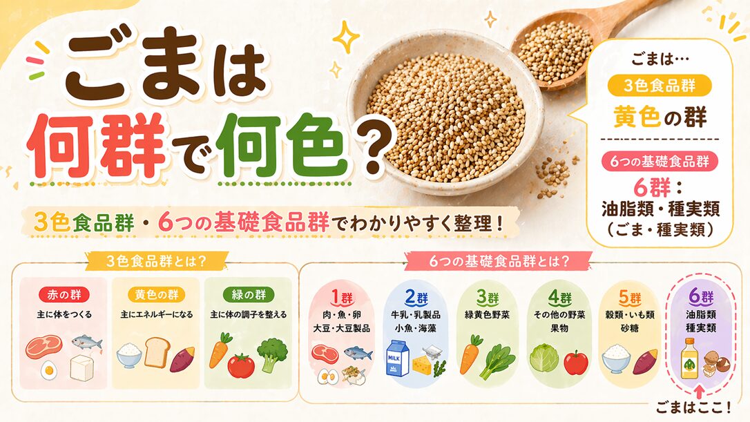 ごまは何群で何色？