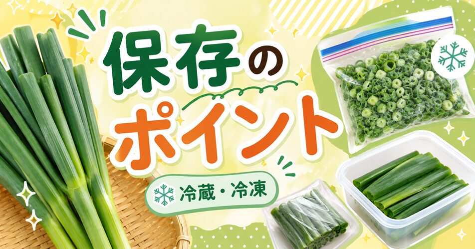 長ネギの青い部分を保存するときのポイント