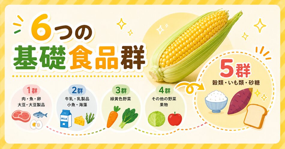 6つの基礎食品群でとうもろこしは何群?