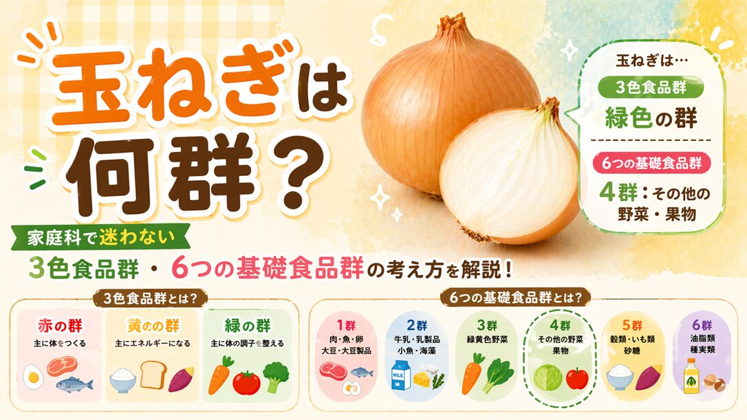 玉ねぎは何群で何色？3色食品群・6つの基礎食品群での考え方を解説