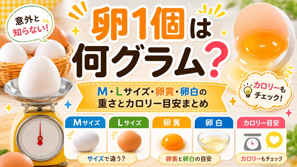 卵1個は何グラム？M・Lサイズ・卵黄・卵白の重さとカロリー目安まとめ
