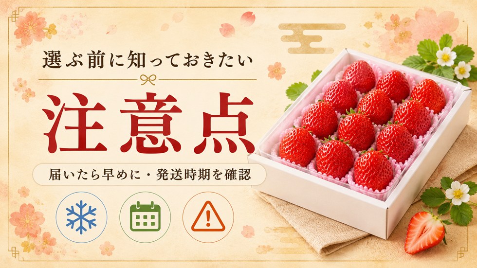 選ぶ前に知っておきたい注意点