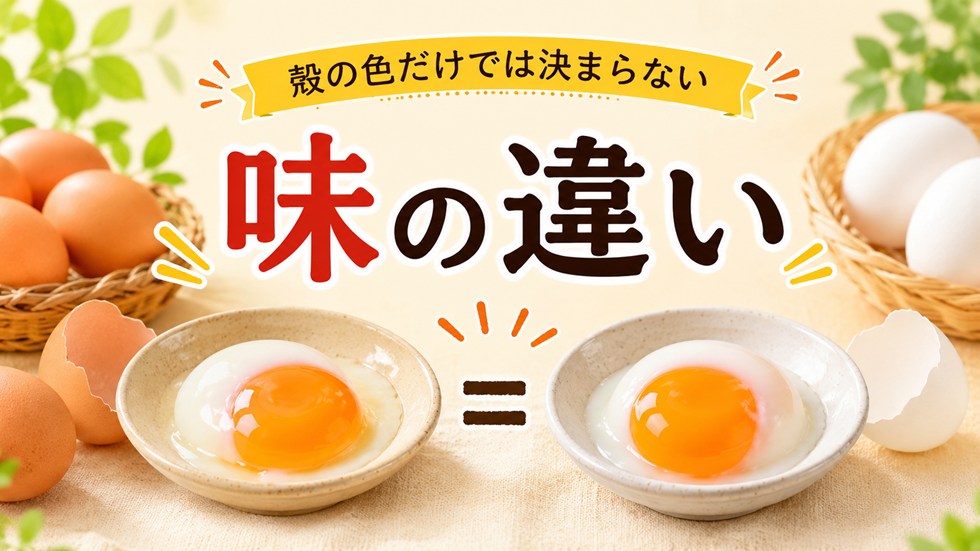 赤卵と白卵は味に違いがある？