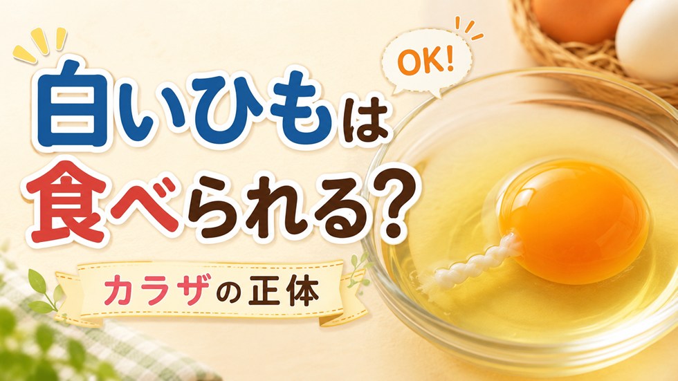 黄身が白い・白いひも・血がある卵は食べられる？