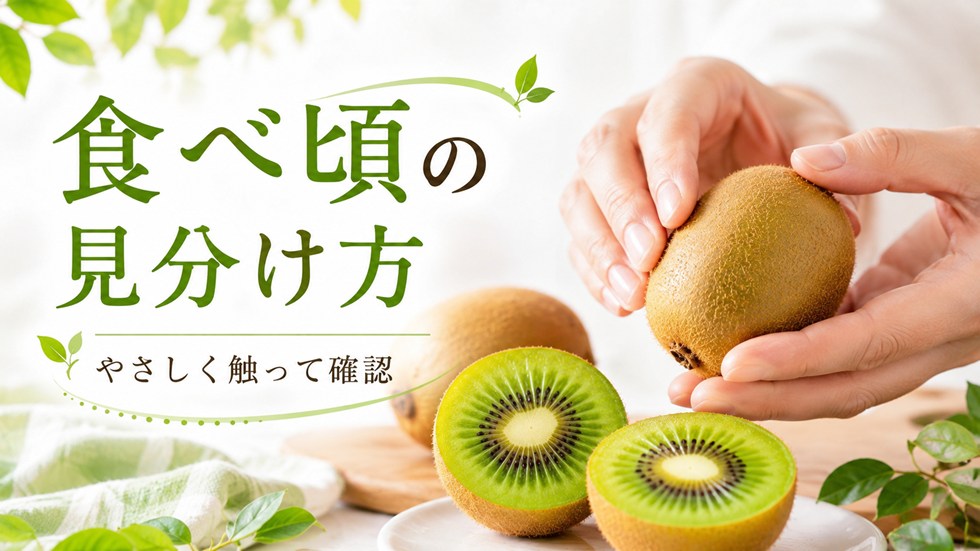 キウイの食べ頃はどう見分ける?