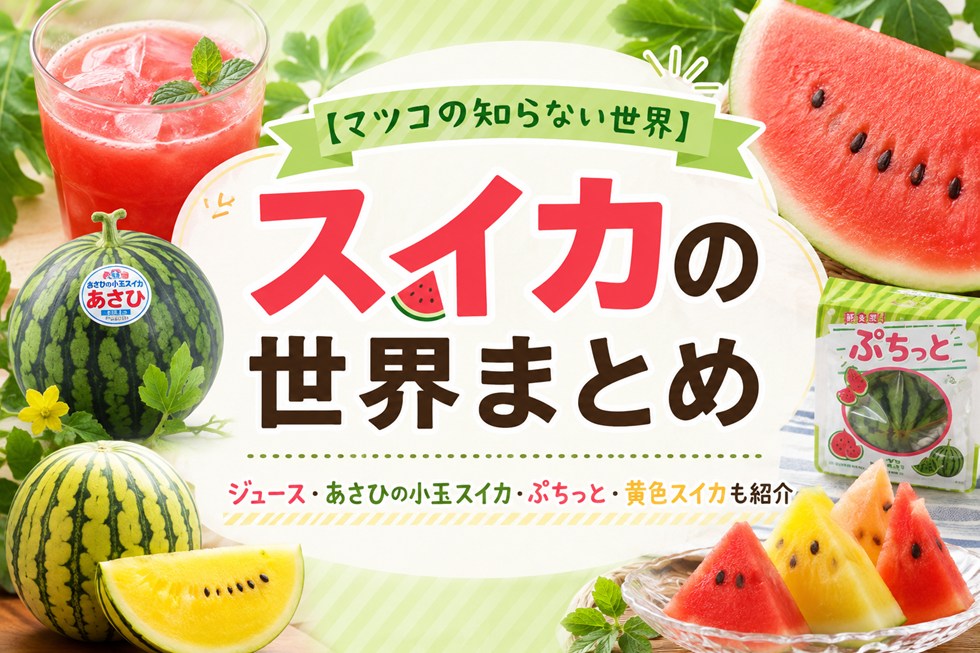 【マツコの知らない世界】スイカの世界まとめ！ジュース・あさひの小玉スイカ・ぷちっと・黄色スイカも紹介